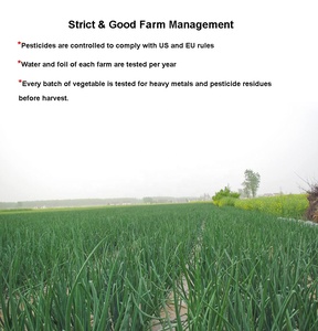 ADホワイト乾燥玉ねぎフレーク、天然プレミアム調味料、砂糖不使用、料理、スープ、ベーキング用、業務用、ハラール認証 - Product Image 3