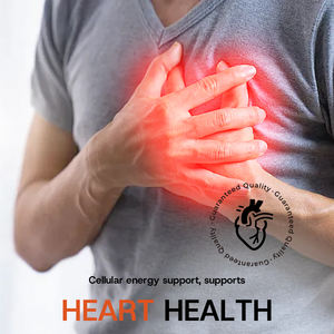 Vitamine B12 personnalisée en usine OEM/ODM 5000 Mcg liquide sublingual pour la santé cardiovasculaire et le soutien énergétique cellulaire chez l'adulte - Product Image 2