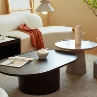 Ensemble de table basse ovale Table basse minimaliste moderne pour petit salon buffet armoire Designer Table basse ovale créative