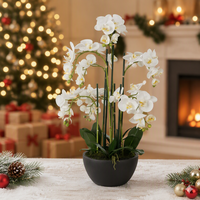 Plante en pot d'orchidée Phalaenopsis blanche artificielle personnalisée de 60 cm, fleur au toucher réel, décoration de table pour la maison et le bureau
