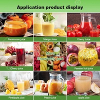 Klopper Fruit Roestvrijstalen Pompoenkokos Pulp Machine Puree Extractie Mango Putjes En Zaad Scheiden
