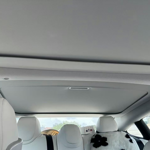 <span class=keywords><strong>Pare</strong></span>-<span class=keywords><strong>soleil</strong></span> magnétique pour <span class=keywords><strong>toit</strong></span> ouvrant <span class=keywords><strong>Tesla</strong></span> <span class=keywords><strong>Model</strong></span> <span class=keywords><strong>3</strong></span> Highland 2019-2025 – Isolation thermique, protection UV, sans affaissement, ajustement sur mesure - Product Image 5
