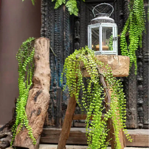 <span class=keywords><strong>Plante</strong></span> artificielle en plastique Liana, lianes de palmier décoratives, mur végétal artificiel, <span class=keywords><strong>plante</strong></span> grimpante <span class=keywords><strong>verte</strong></span>, 100 cm, Fête des Mères, Noël, Halloween - Product Image 2