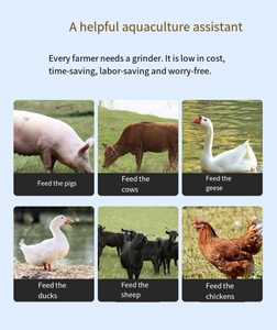 Factory Direct Sale Multifunctional Stainless Steel <strong>Vegetable</strong> <strong>Cutter</strong> Suitable for Grinding Feed for Chicken Duck and Goose - Product Image 5