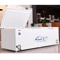 Congélateur horizontal commercial grande capacité à tubes de cuivre, OEM/Bonne réputation et longue durée de vie, pour la congélation de crèmes glacées