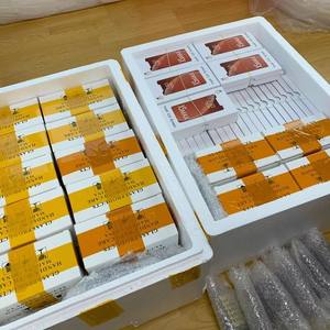 Écran <span class=keywords><strong>OLED</strong></span> flexible compatible pour téléphone portable QCV-03-TK0-7B00 pour Vivo X100 100PR0 - Product Image 5