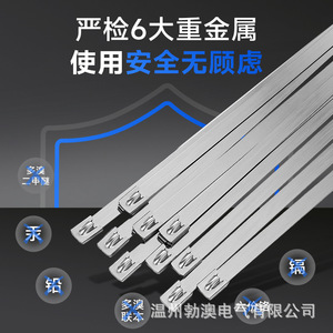 Boao Bridas de Acero Inoxidable 304 de 4.6x300mm, Autoblocantes, Metálicas, para Uso Marino y Exterior, Resistentes a Altas Temperaturas, para Fijación y Agrupación - Product Image 3