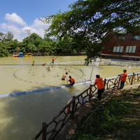 Fuente de agua para bailar música Lake Pond al aire libre con controlador DMX de programación