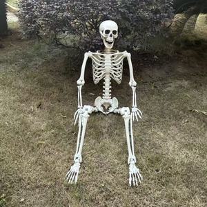 Scheletri di Halloween Economici da 160 cm (5,4 Piedi) per Interni ed Esterni, in Posizioni Umane, in Vendita - Product Image 5