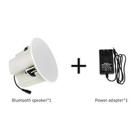 Haut-parleur de plafond sans fil système de musique domestique bluetooth-son stéréo Surround compatible HIFI bonne qualité