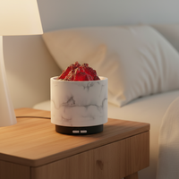 Aromacare Fragrance Aromathérapie Brûleur Lampe Chauffe-Bougie Diffuseur de Cire Fondue Électrique