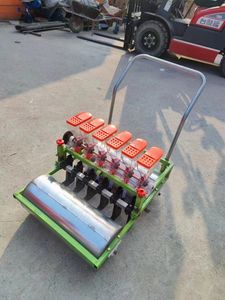 Seminatrice manuale per erba/semi di ortaggi/seminatrice per semi di ortaggi personalizzata 1 Set di semi di anguria <span class=keywords><strong>F1</strong></span> Hybrid Big Size - Product Image 4