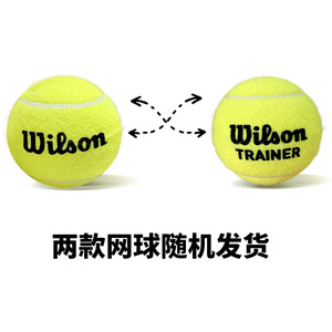 Llavero de peluche con forma de pelota de tenis, oso pequeño y cerdo, adorno para bolso, accesorio portátil - Product Image 4