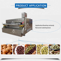 Moteur de machine de torréfaction à revêtement oscillant en acier inoxydable, capacité de 400 kg/h pour la peau de poisson, les cacahuètes, les noix de macadamia, les fèves