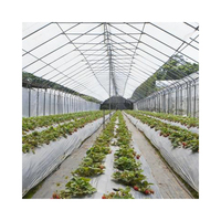 Serre tunnel de jardin populaire, conception accessible, avec couverture en film vert pour fruits, légumes et fleurs