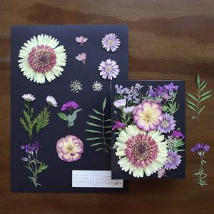 Lot <span class=keywords><strong>de</strong></span> 20 sachets mélange fleurs pressées fond <span class=keywords><strong>noir</strong></span> papier carte cadre <span class=keywords><strong>photo</strong></span> résine époxy <span class=keywords><strong>et</strong></span> fabrication <span class=keywords><strong>de</strong></span> bougies - Product Image 6