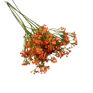 Flores Artificiales de Baby's Breath, Rama Individual de Seda, Alta Simulación, Decoraciones para Bodas - Product Image 5