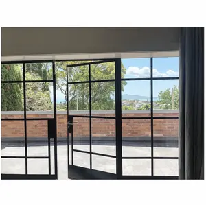 thermal steel profile house interior small windows simple iron window grill design