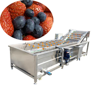 Aanpasbare Fabrieksbron Fruit En Groente Bubbel Reinigingsmachine Kern Motorcomponent Voor Maïs En Water Grondstof