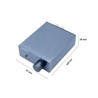 Amplificateur numérique BRZHIFI AUDIO PAD-100B, modèle Surround Mini HIFI, amplificateur numérique de haute qualité sonore, amplificateur domestique