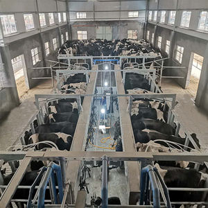 Sala di mungitura della capra delle pecore dell'attrezzatura di nuova condizione del contatore elettrico di Digital <span class=keywords><strong>da</strong></span> vendere - Product Image 2