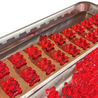 Mesin Pembuat Permen Gummy Otomatis Penuh Harga Terjangkau Mesin Pembuat Gummy Bear