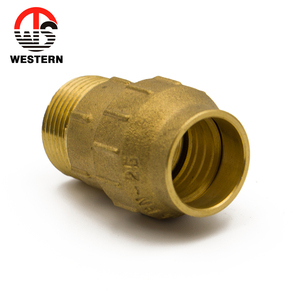 Đồng thau giả mạo <span class=keywords><strong>NPT</strong></span> BSP nam nén PE lắp ống - Product Image 2