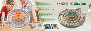 Инкубатор для куриных яиц, <span class=keywords><strong>50</strong></span> яиц, инкубаторная техника, 12 + 220 В, двойная мощность - Product Image 6