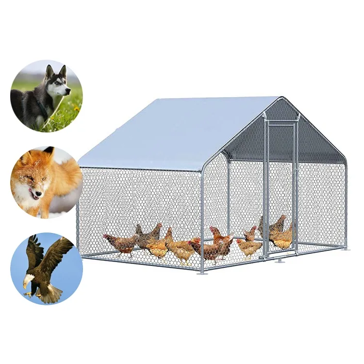 China Cheap Chicken Coop Modern Extra Large Garden Galvanized Chicken Coop Cages For 15 Chickens