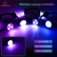 Pengontrol DC12V DMX512 Sumber Cahaya Pixel untuk Dekorasi Bangunan Jembatan Taman Bertema Lanskap Sumber Cahaya Titik LED