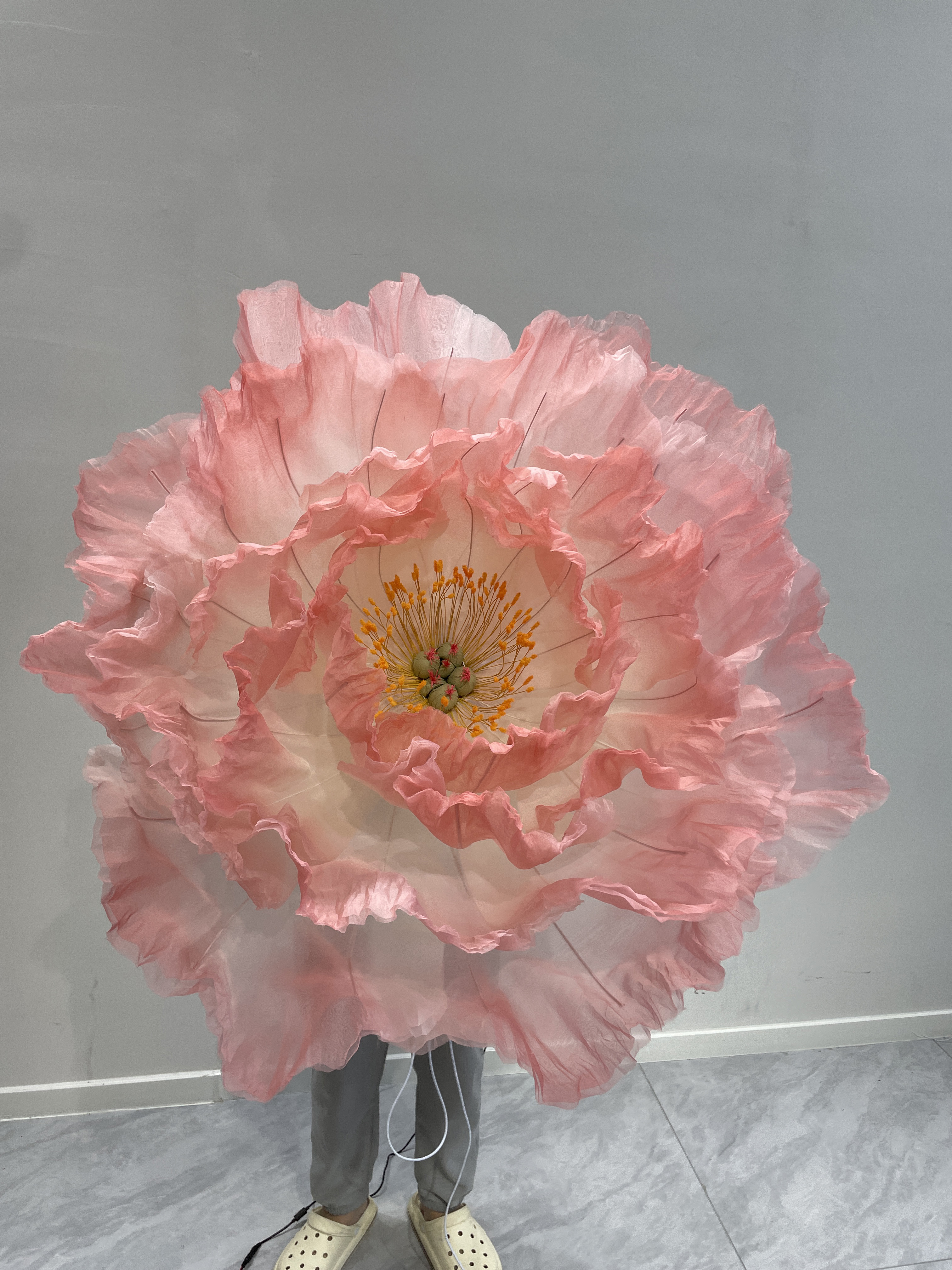 Rose garance