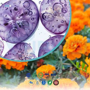 Venda Direta de Fábrica Cápsulas de Luteína Suplementos para Saúde Ocular e Vitaminas Proantocianidinas OEM ODM Cápsulas de Luteína e Zeaxantina - Product Image 2