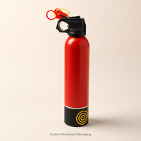 Bouteille aérosol vide en aluminium haute pression pour cosmétiques, impression offset, 500 ml, 600 ml, vente en gros, OEM