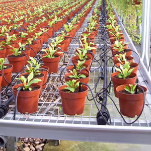 Outil d'arrosage de jardin en plastique 1 sortie 4 directions, système d'irrigation goutte à goutte pour serre - Product Image 6