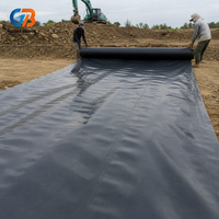 Géomembrane HDPE imperméable haute résistance à la traction, feuille anti-infiltration pour la protection des levées et des digues