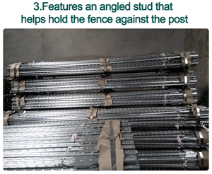 Poste de Cerca Tipo T Pintado de Verde con Remaches de 8 pies para Uso en Cercas Agrícolas y de Granja - Product Image 5