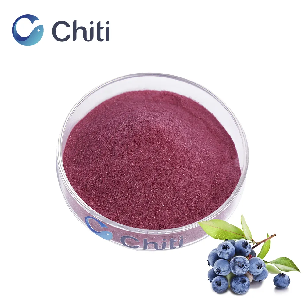 Chiti 고품질 공장 공급 호의 베이커리 블루 베리 추출물 분말 풍부한 안토시아닌 Glidants 추가 안료