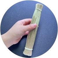 Fil de soudure pour accessoires néon LED flexibles 200 mm, fils électriques pour éclairage néon LED