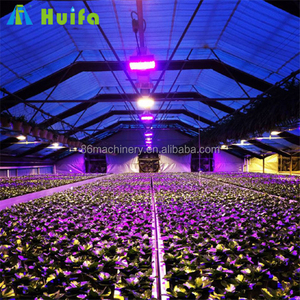 Auto Blackout Light Deprivation Greenhouse Mushroom <strong>Growing</strong> Polytunnel Poly <strong>Tunnels</strong> Australia - Product Image 5