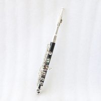 High Quality Advanced Level Piccolo ABS Cody Silver Plated Keys C Tone Nickel-silver Head Joint Piccolo Flute