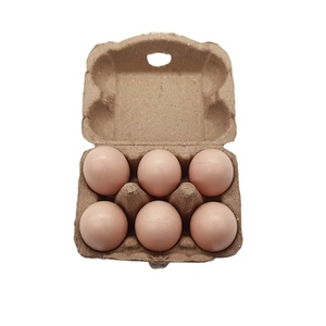 Paper Egg Tray Factory Biodegradable Pulp Fiber Sugarcane Bagasse 6 Cell paper Eggs Box