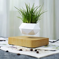 Magia levitando olla nórdico estilo magnético levitando planta creativo y moderno regalo flotante flor maceta decoración hogar