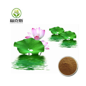 Nhà Máy bán hàng trực tiếp nuciferine sen xanh chiết xuất trong kho lá sen chiết xuất - Product Image 2