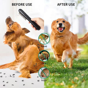 <span class=keywords><strong>Peigne</strong></span> à <span class=keywords><strong>poux</strong></span> électrique 2 en 1 avec logo personnalisé, brosse électronique pour animaux de compagnie, <span class=keywords><strong>peigne</strong></span> <span class=keywords><strong>anti</strong></span>-puces pour humains et animaux de compagnie - Product Image 2
