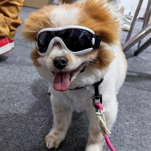 Lunettes de soleil pour <span class=keywords><strong>chien</strong></span> écologiques et tendance avec sangle réglable, protection UV, anti-poussière/anti-vent, motif à pois, pour l'été - Product Image 3