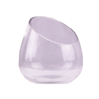 Bol en verre oblique épaissi créatif haute transparence micro-paysage décoration vase en verre de table