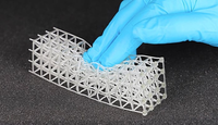 Imprimante 3D DLP à projection par le haut de haute précision, sans dommages, facile à utiliser, idéale pour l'impression de modèles de bijoux et le processus de fabrication de prothèses dentaires