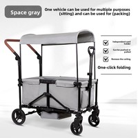 Poussette de voyage double pliable et réversible pour bébés et enfants, idéale pour le camping et les activités de plein air