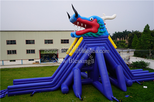 <b>Slide</b> <b>Water</b> Factory Price <b>Inflatable</b> City for Adult <b>Inflatable</b> <b>Water</b> <b>Slide</b> for Adult <b>Slide</b> <b>Water</b> F - Product Image 5