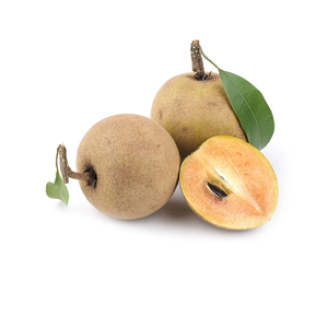 Vente en gros de sapotages frais, purs et biologiques, en grandes quantités, avec emballage personnalisé, proposés à la vente par des exportateurs - Product Image 5